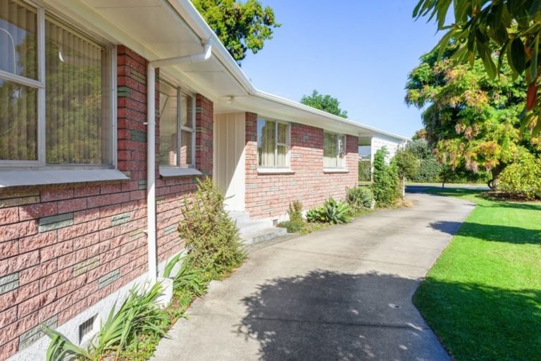 Photo of property in 21 Mcgarvey Road, Whakatane, 3120