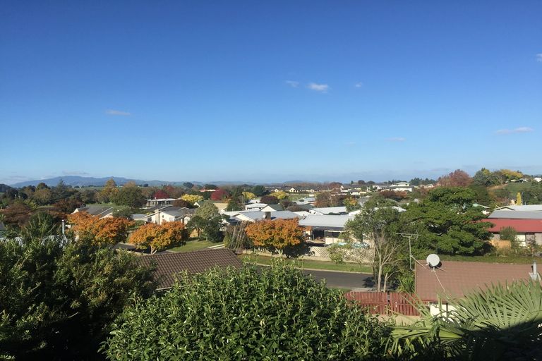 Photo of property in 162 Raikes Avenue, Te Awamutu, 3800