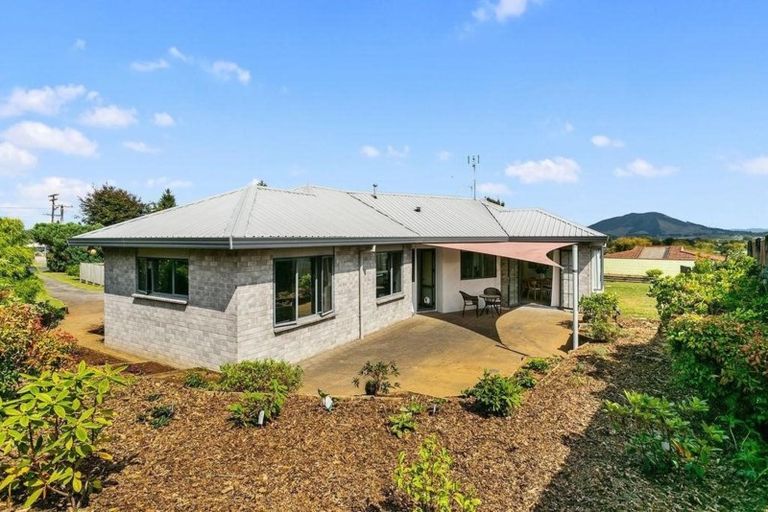 Photo of property in 420 Puniu Road, Te Awamutu, 3800