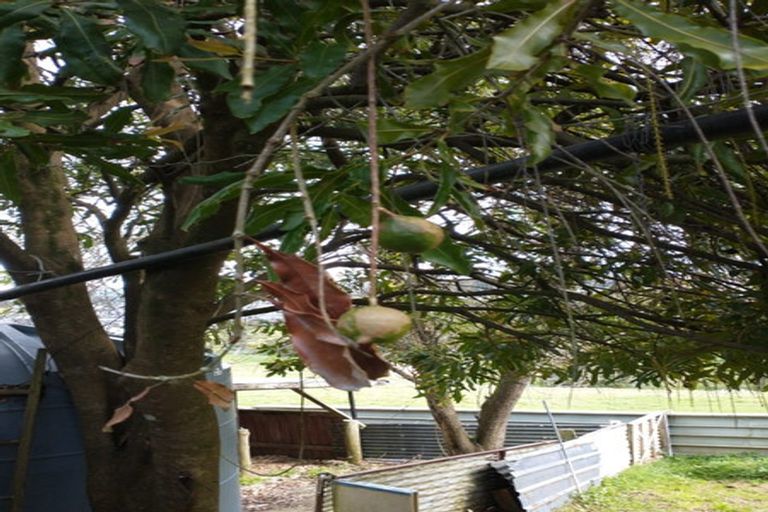 Photo of property in 109 Vinegar Hill Road, Kauri, Kamo, 0185