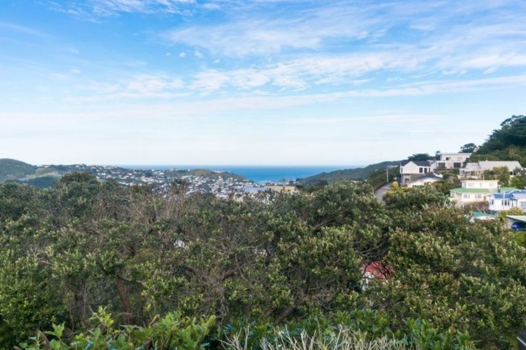 Photo of property in 5 Mana Street, Vogeltown, Wellington, 6021