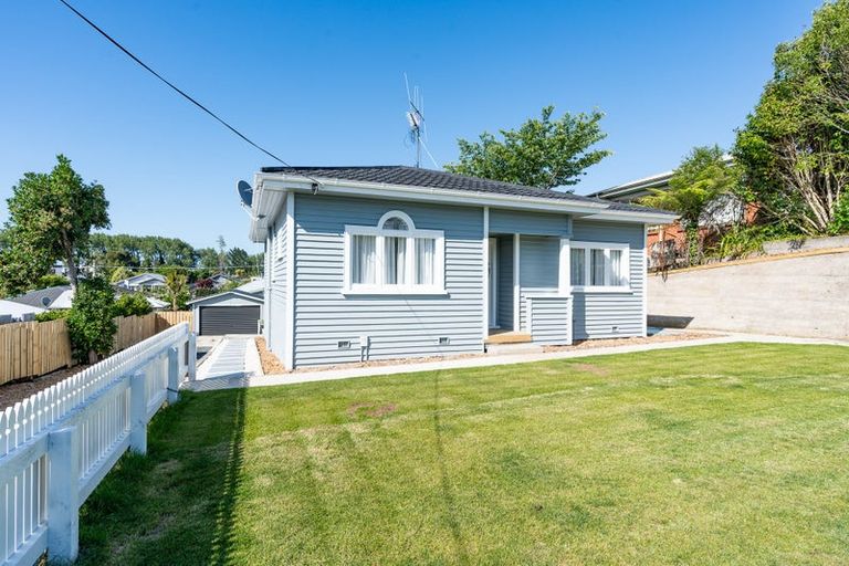 Photo of property in 17 Hinau Street, Maeroa, Hamilton, 3200