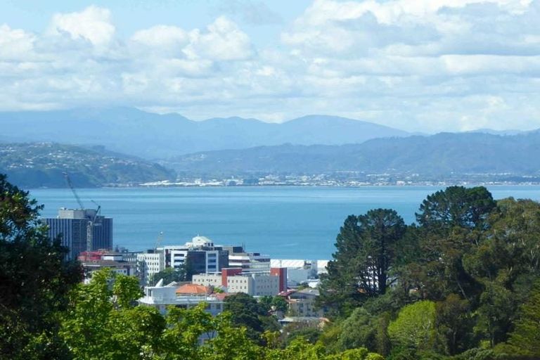 Photo of property in 40 Garden Road, Northland, Wellington, 6012