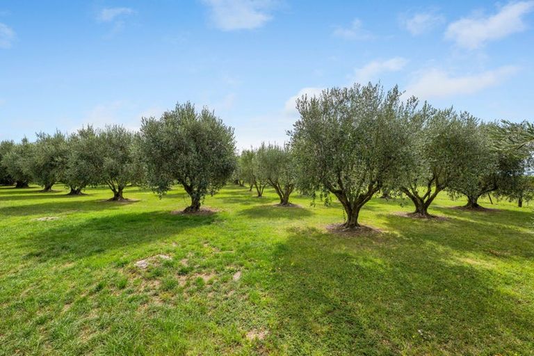 Photo of property in 447 Wairau Bar Road, Spring Creek, Blenheim, 7273