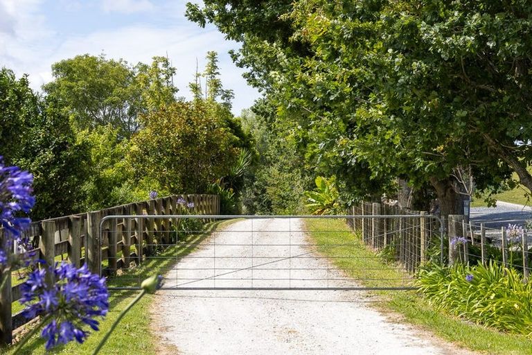 Photo of property in 1137 Port Albert Road, Port Albert, Wellsford, 0973