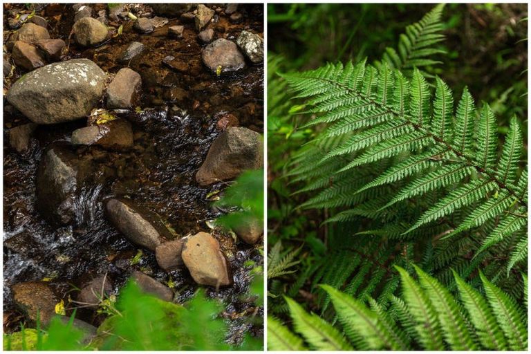 Photo of property in 200 Corbett Road, Waihi, 3681