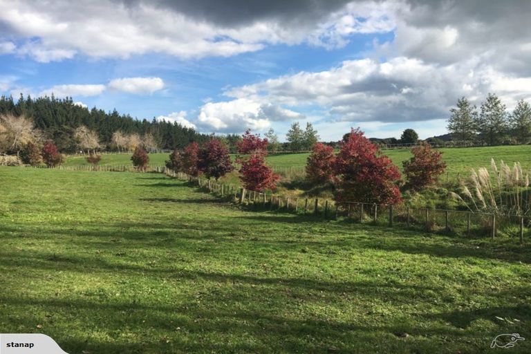 Photo of property in 255 Ararimu Valley Road, Helensville, Waimauku, 0882