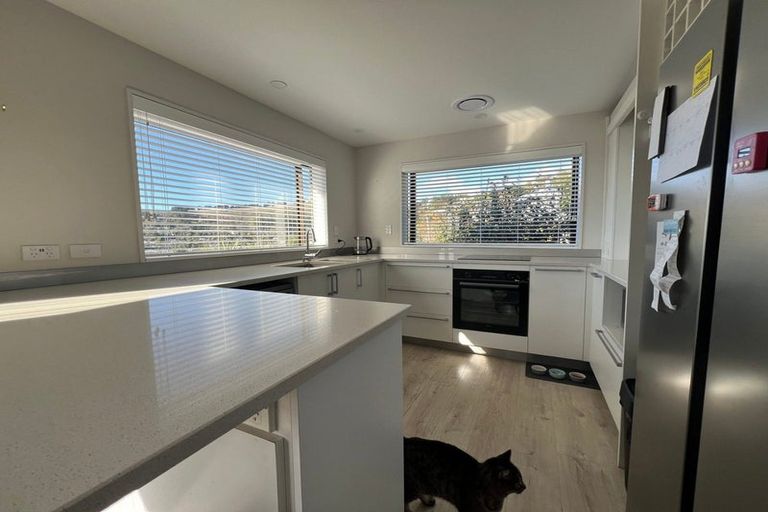 Photo of property in 37 Ramahana Road, Huntsbury, Christchurch, 8022