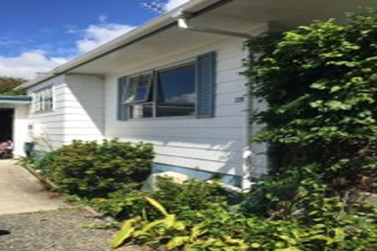 Photo of property in 62b Alison Street, Hamilton Lake, Hamilton, 3204