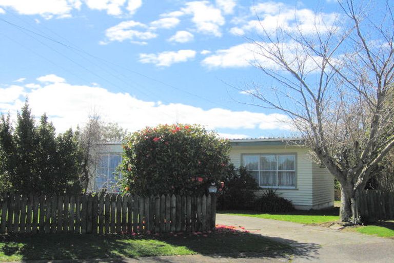 Photo of property in 11 Derby Street, Levin, 5510