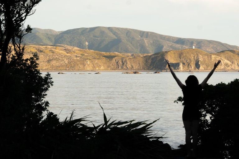 Photo of property in 130 Breaker Bay Road, Breaker Bay, Wellington, 6022