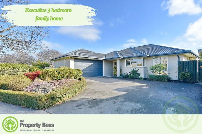 Photo of property in 8 Ross Place, Northwood, Christchurch, 8051
