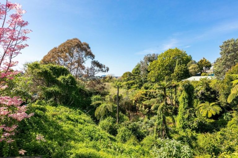 Photo of property in 24b Wylie Street, Gate Pa, Tauranga, 3112