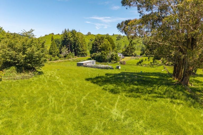 Photo of property in 143a Otapouri Road, Owhango, 3989