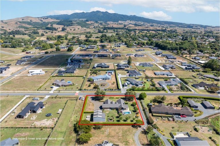 Photo of property in 355 Inglefield Street, Pirongia, Te Awamutu, 3876