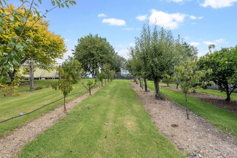 Photo of property in 143 Top Road, Dairy Flat, Albany, 0792