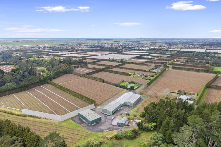 Photo of property in 288a No 3 Road, Te Puke, 3183