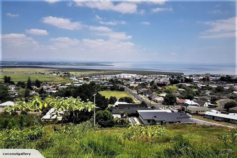 Photo of property in 210 Hauraki Terrace, Thames, 3500