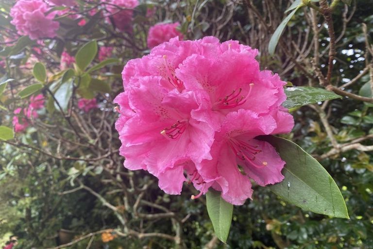 Photo of property in 5 Chesterton Street, Johnsonville, Wellington, 6037