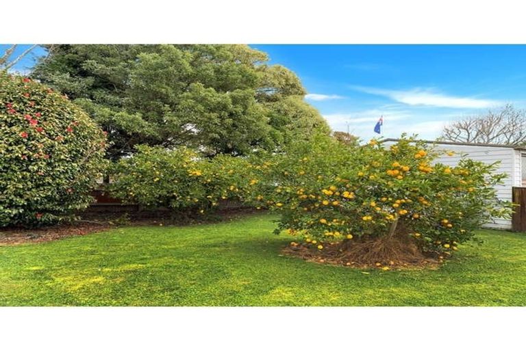 Photo of property in 12 Vogel Street, Levin, 5510