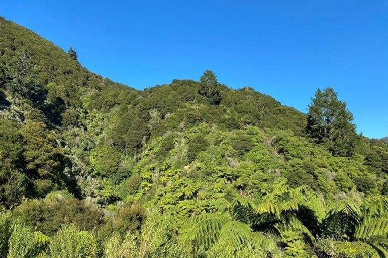 Photo of property in 180 Totaranui Road, Wainui Bay, Takaka, 7183