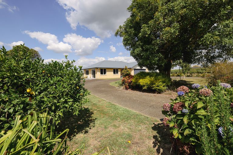 Photo of property in 46 Sutton Road, Te Awamutu, 3879