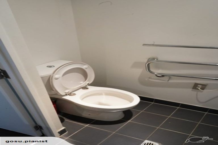 Photo of property in 53 Cook Street, Hamilton East, Hamilton, 3216