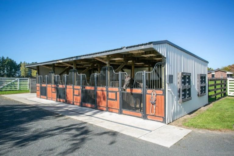 Photo of property in 273 Kaipaki Road, Ohaupo, 3881