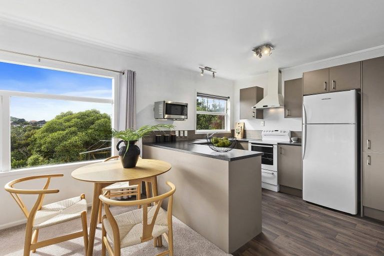 Photo of property in 27u3 Winston Street, Crofton Downs, Wellington, 6035