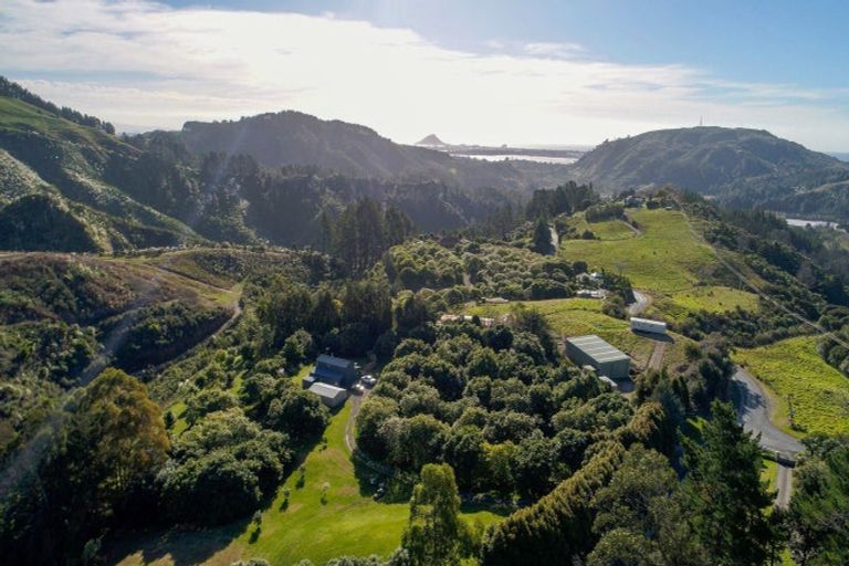 Photo of property in 496 Waitao Road, Waitao, Tauranga, 3175