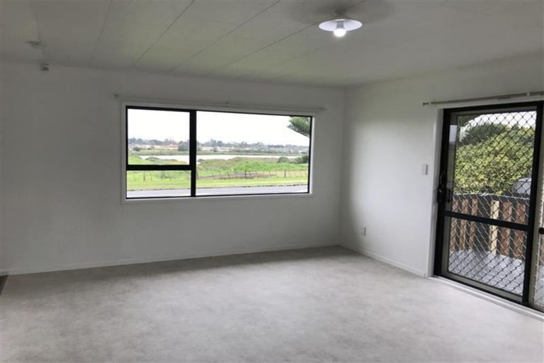 Photo of property in 193 Mahia Road, Wattle Downs, Auckland, 2103