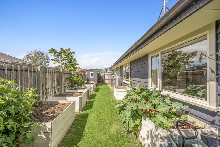 Photo of property in 59 Waenga Drive, Cromwell, 9310