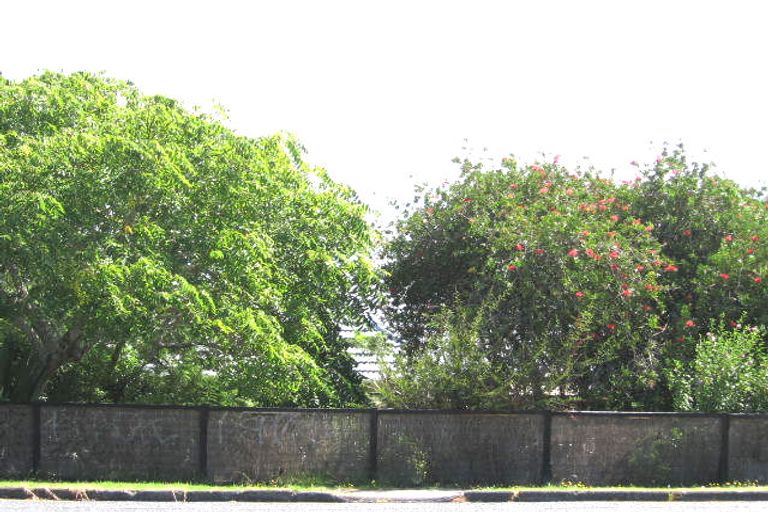 Photo of property in 97 Hutchinson Avenue, New Lynn, Auckland, 0600