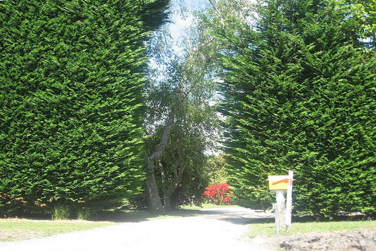 Photo of property in 615 No 1 Road, Te Puke, 3182