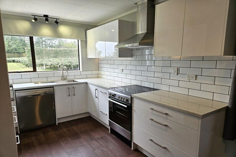 Photo of property in 1395 No 3 Road, Te Puke, 3183