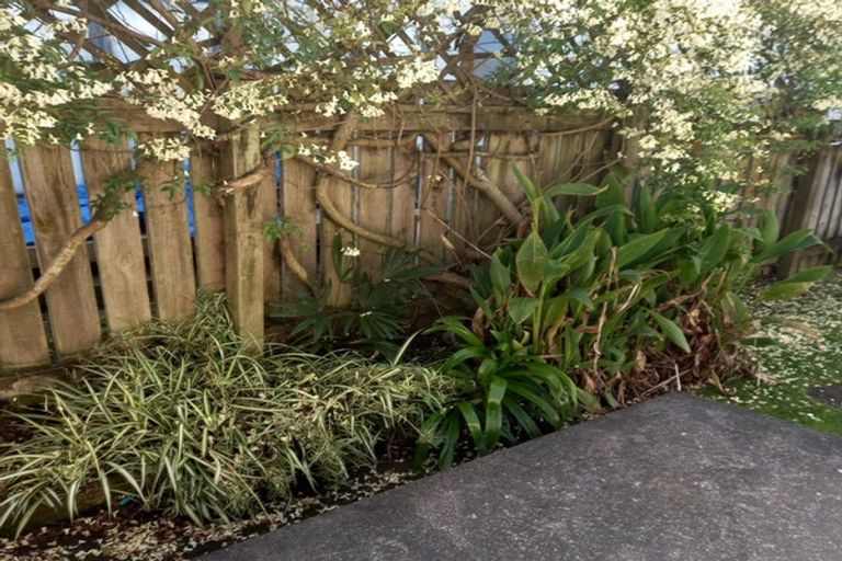 Photo of property in 37 Pembroke Street, Hamilton Lake, Hamilton, 3204