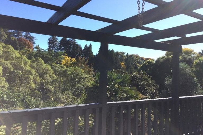 Photo of property in 59 Little John Drive, Bellevue, Tauranga, 3110