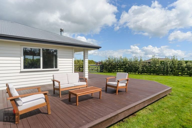Photo of property in 12 Wapiti Avenue, Feilding, 4775