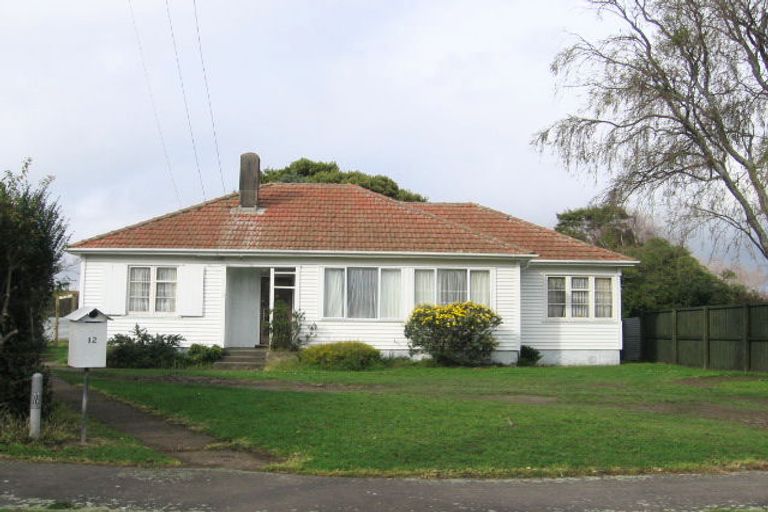 Photo of property in 12 Plymouth Street, Roslyn, Palmerston North, 4414
