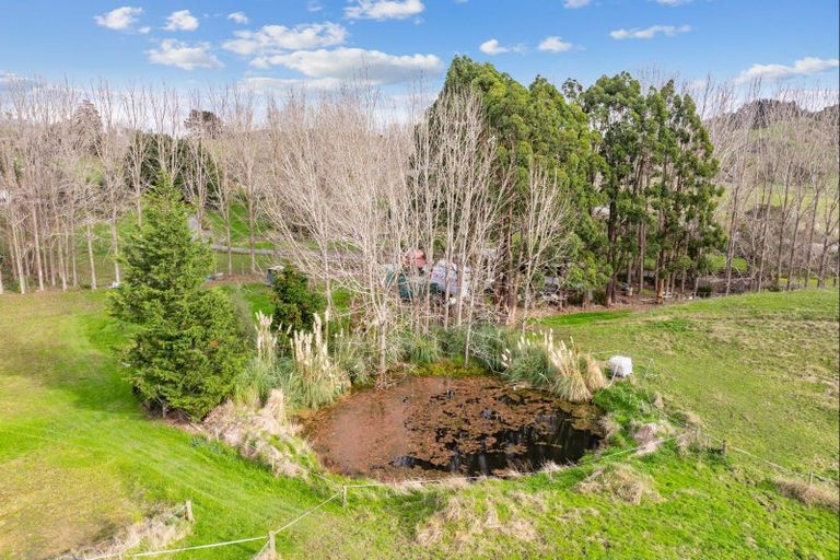 Photo of property in 227 Ararua Road, Waiotira, 0193