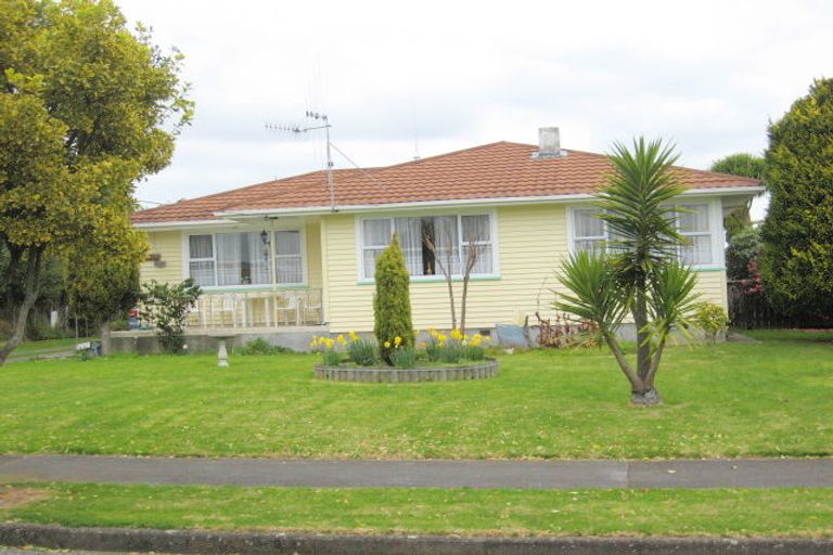 Photo of property in 21 Elizabeth Street, Levin, 5510