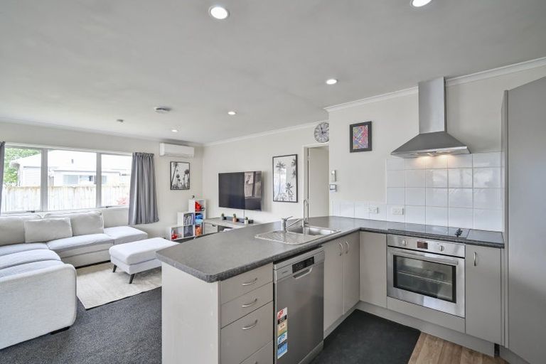 Photo of property in 1005b Beatty Street, Mayfair, Hastings, 4122