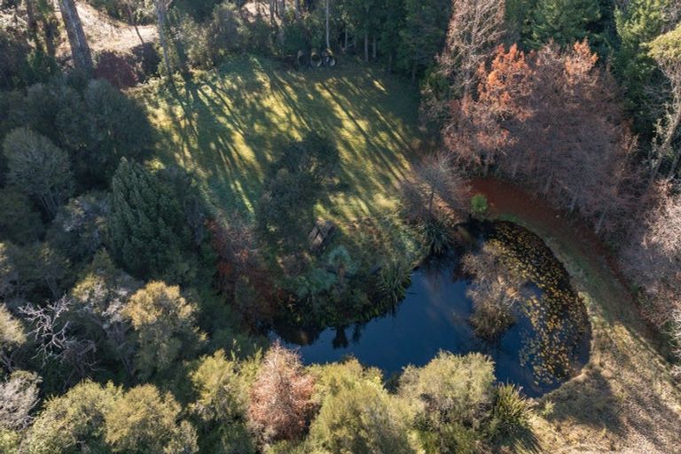 Photo of property in 168 Graham Valley Road, Motueka Valley, Motueka, 7196