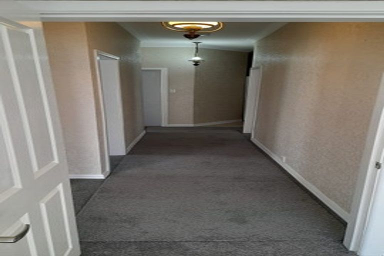 Photo of property in 14 Puriri Street, Miramar, Wellington, 6022