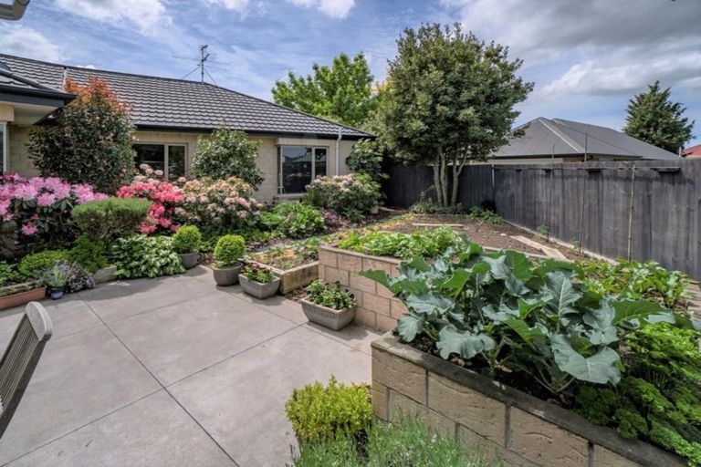 Photo of property in 22 Golding Avenue, Rangiora, 7400