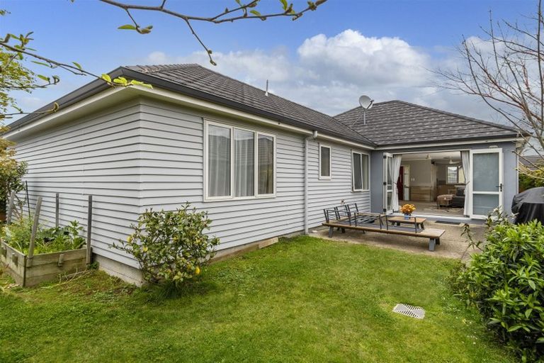 Photo of property in 20 Lanyard Street, Pyes Pa, Tauranga, 3112