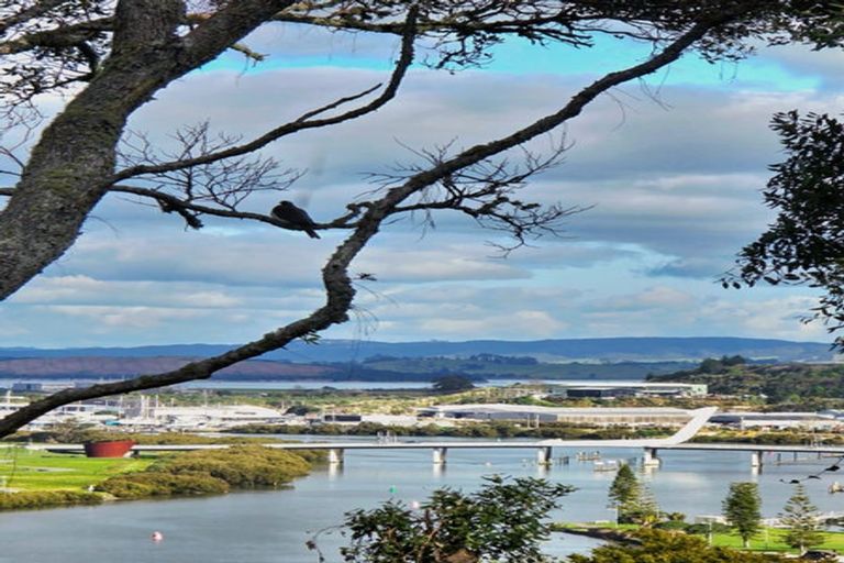 Photo of property in 52 Punga Grove Avenue, Riverside, Whangarei, 0112