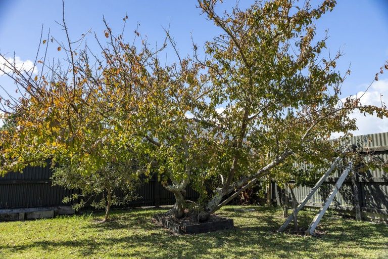 Photo of property in 51 Church Road, Kaitaia, 0410