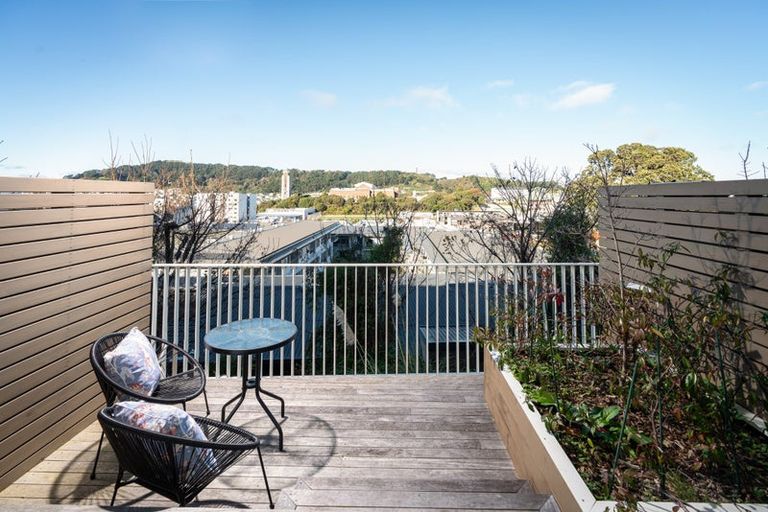 Photo of property in 27c Thompson Street, Mount Cook, Wellington, 6011