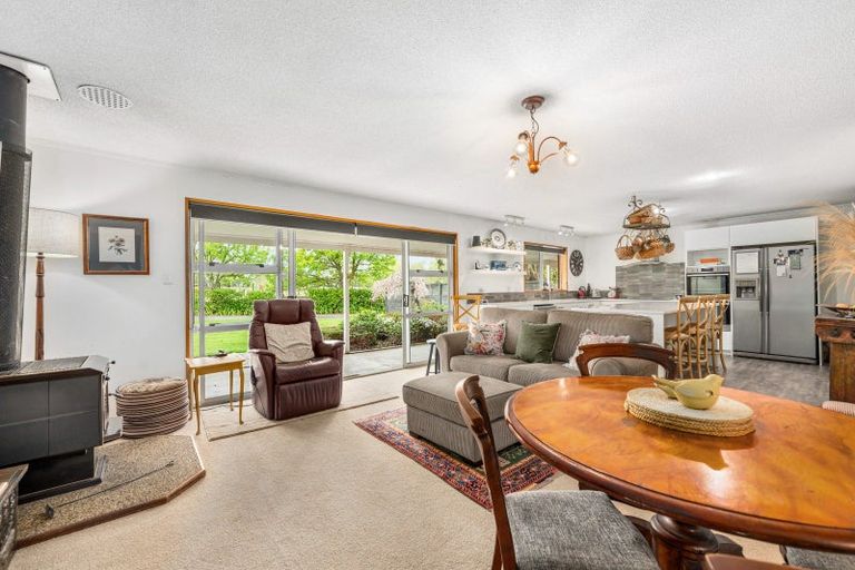 Photo of property in 245 Halcombe Road, Feilding, 4775